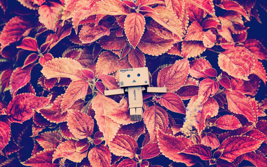 1092382 (a): :1920x1200